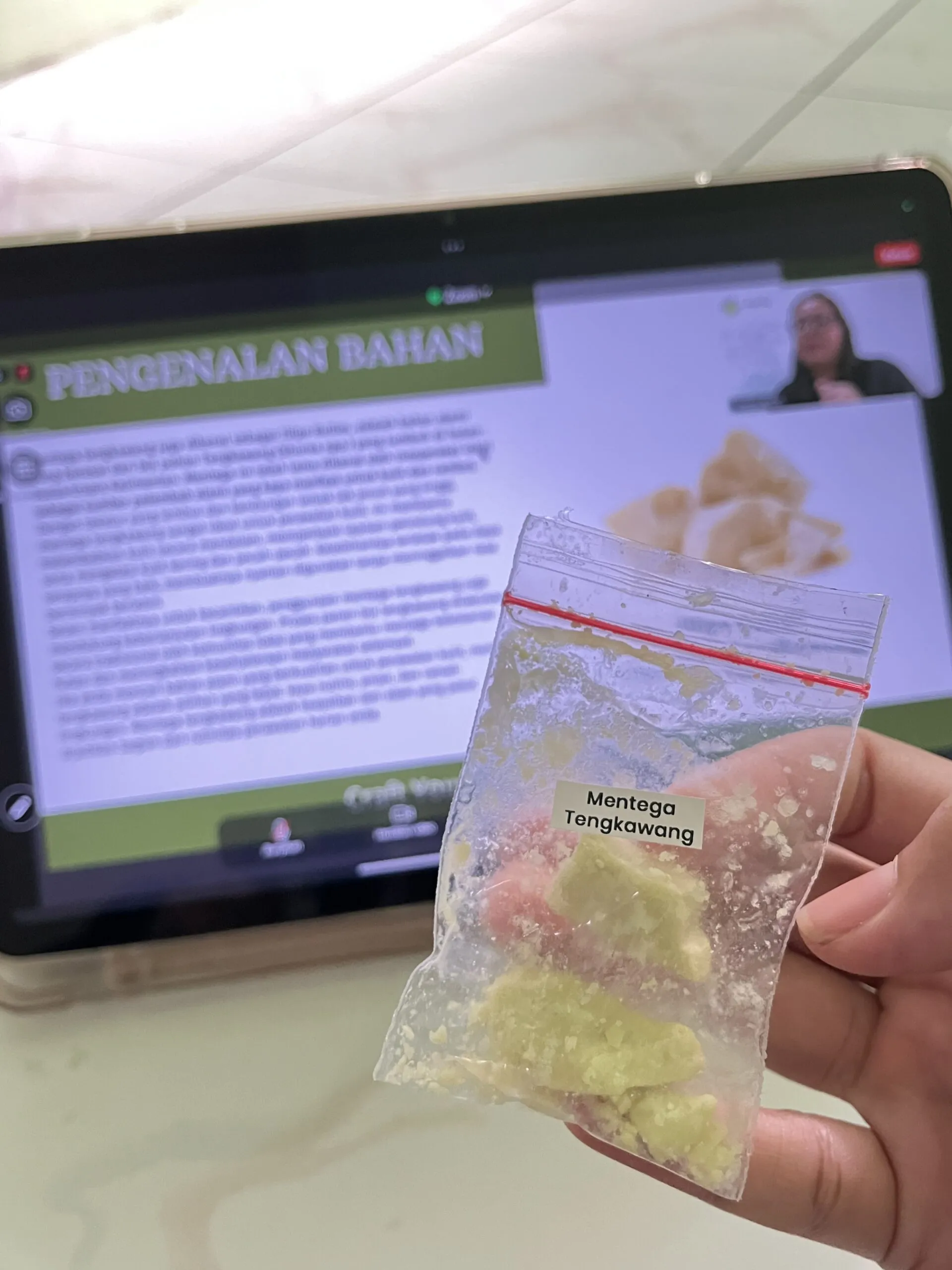 Mentega alami dari pohon tengkawang