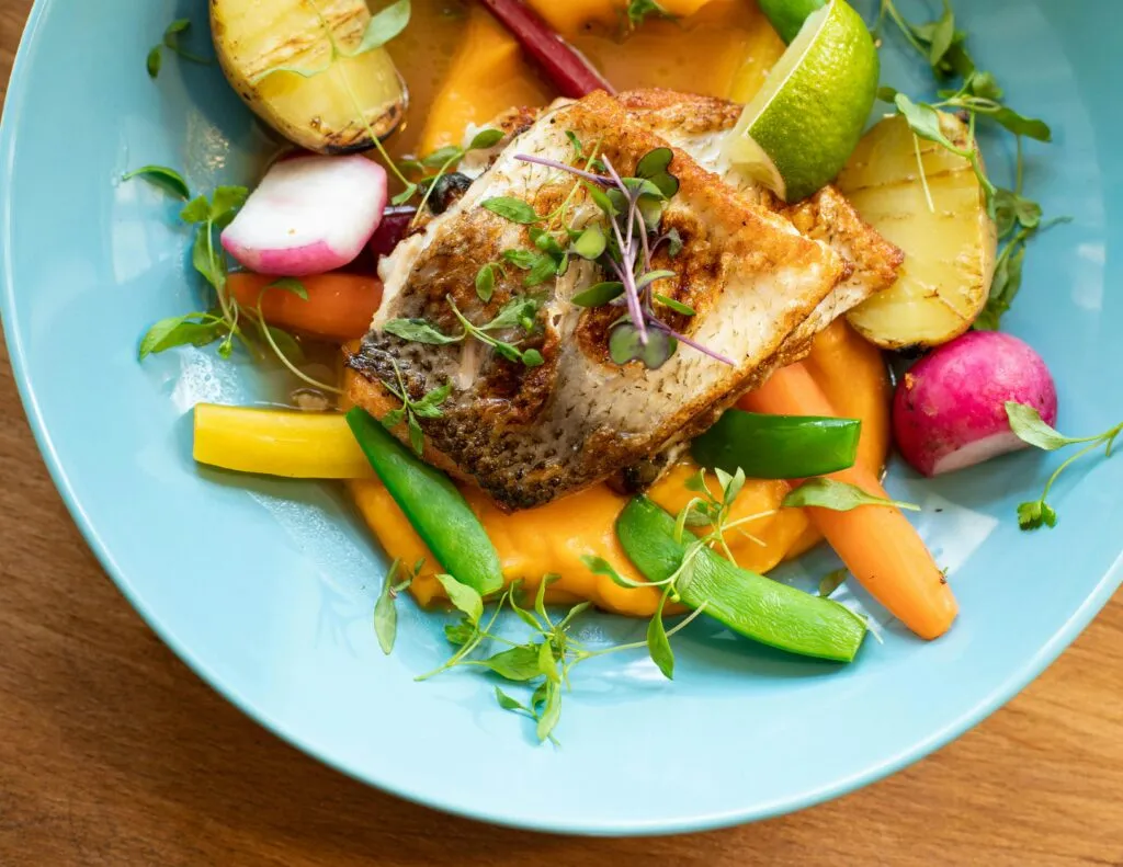 Salmon dish with vegetables