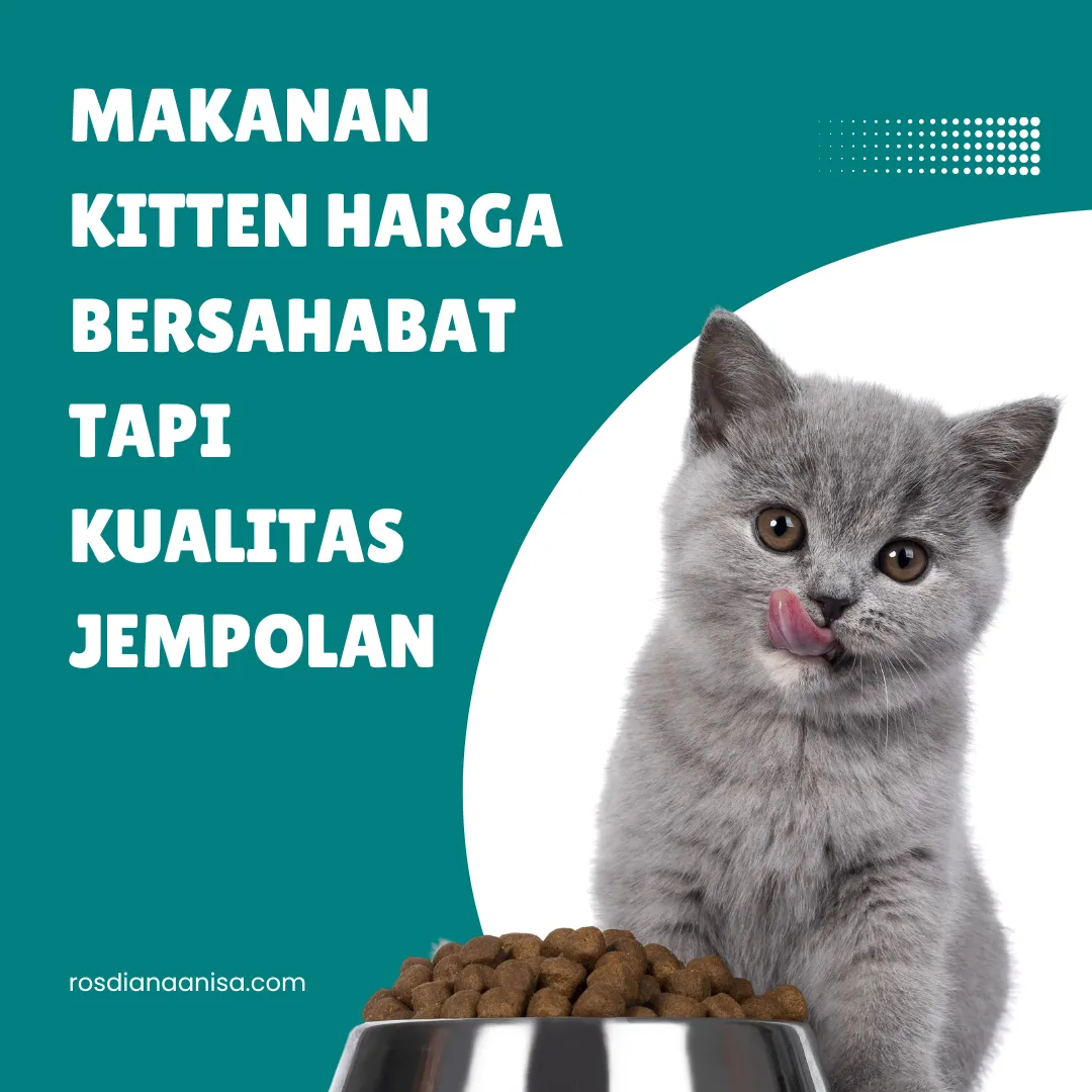 Makanan Kitten Harga Bersahabat tapi Kualitas Jempolan