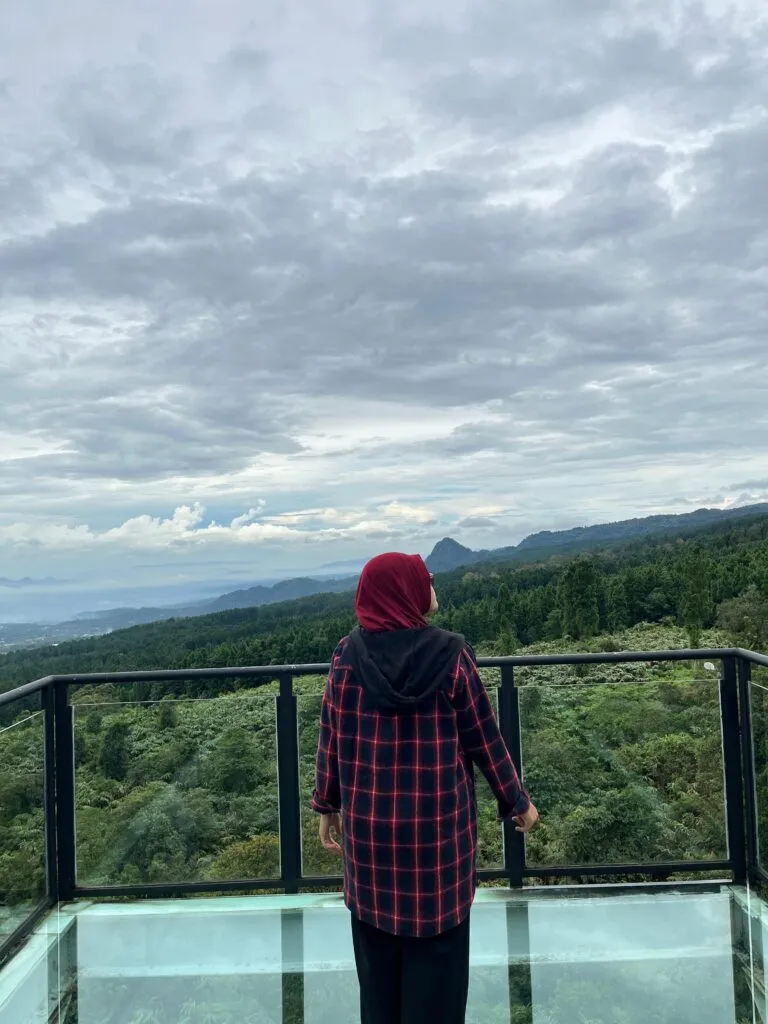 Safari to Sky